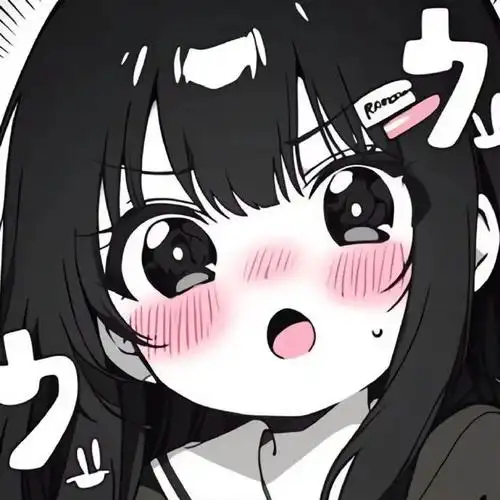 二次元之魂
